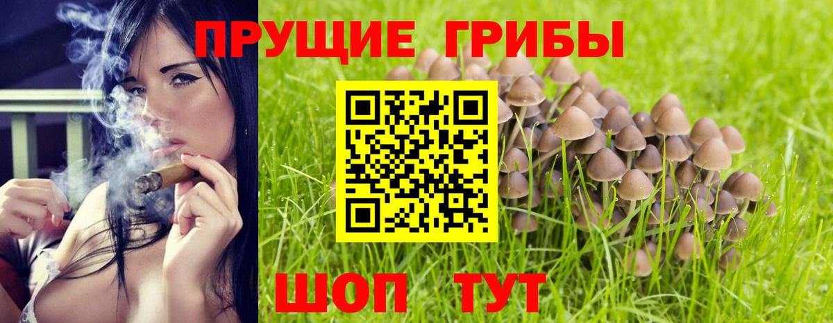 Мелеуз  Галлюциногенные грибы Cubensis  Вход с VPN  цена наркотик  Галлюциногенные грибы мицелий 