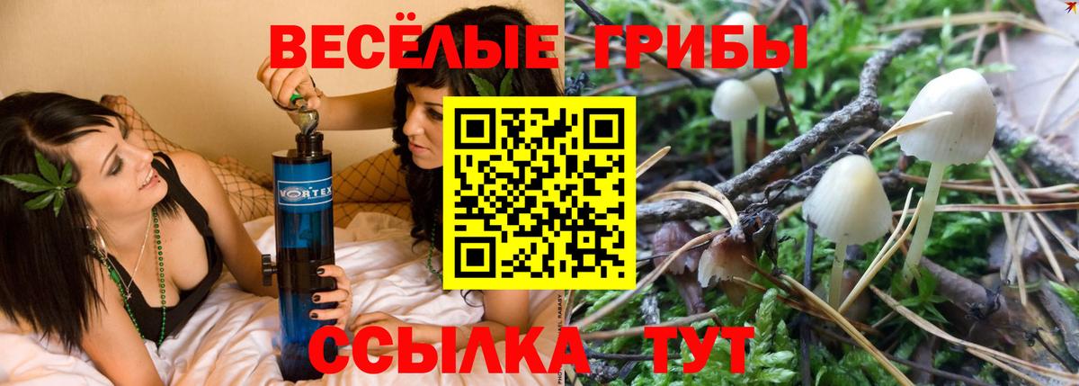 Псилоцибиновые грибы Magic Shrooms Мелеуз