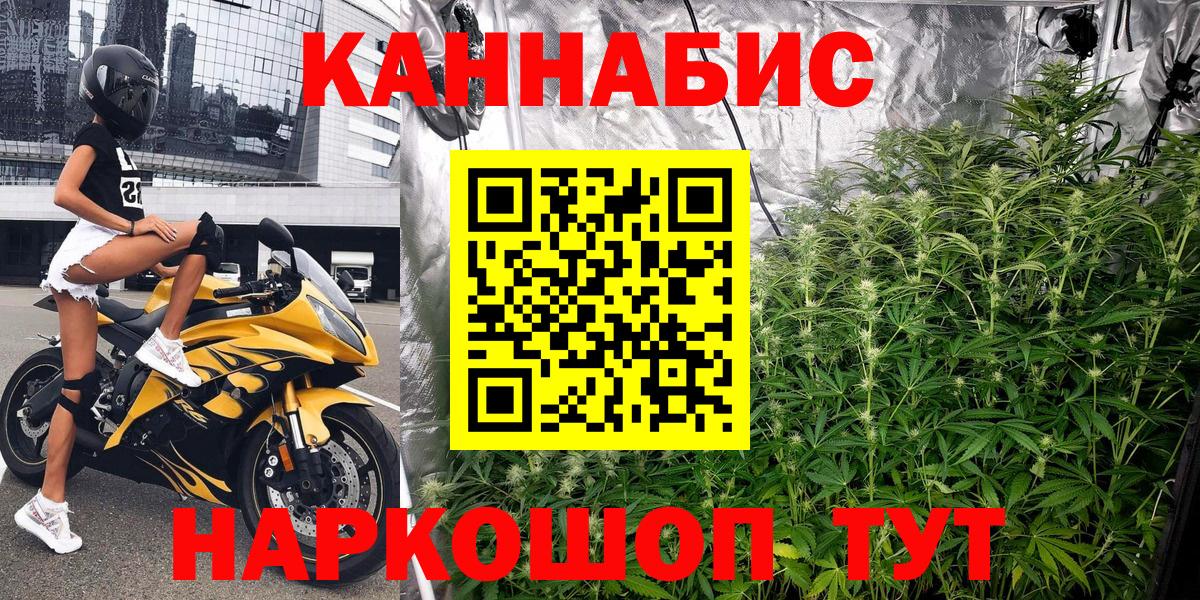Каннабис OG Kush Мелеуз